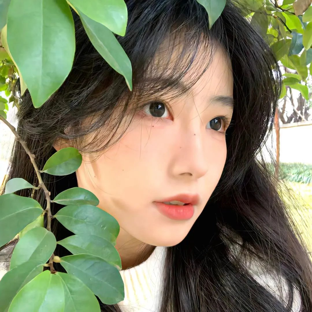 寒鸦情深